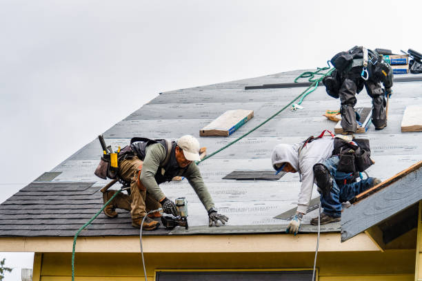 Professional Storm Damage Roof Repair technician working in Hiwassee, VA